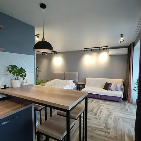 уютная возле бц Tower, концерт-холл оазис Apartment
